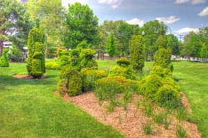 Topiary 3